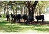 1665 Cargo Road, Lidster