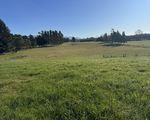 54 Studholme Settlement Road, Waimate