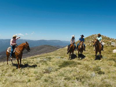 Lot 2, Mt Buller Road, Merrijig