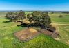 1097 Davys Plains Road, Cudal