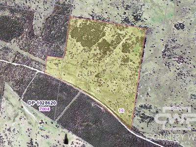 Lot 16, 18, - Emmaville Rd, Emmaville