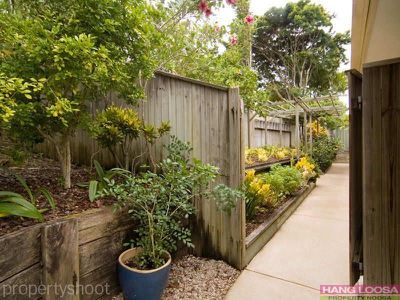 6 Olive Court, Tewantin
