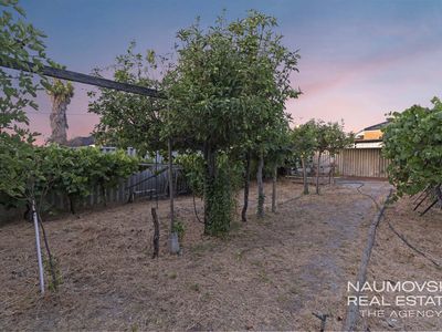 58 Carcoola Street, Nollamara