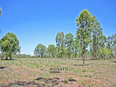 Lot 140, Carbeen Road, Walkamin