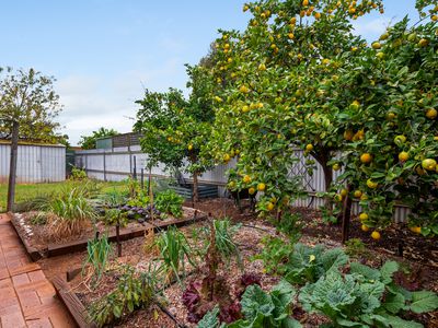 3 Gwalia Close, Hannans