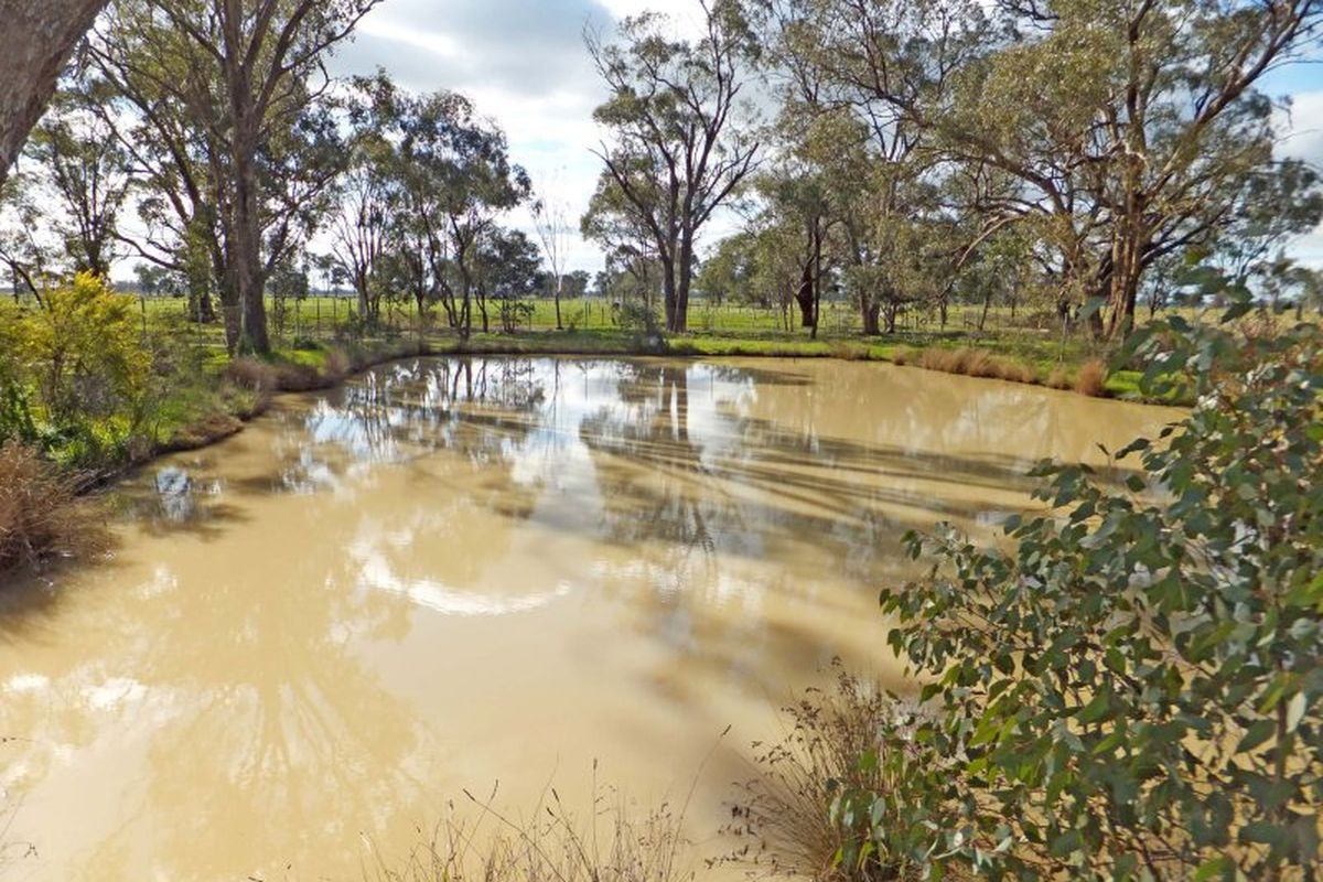 2460 Echuca-Mooroopna Road, St Germains