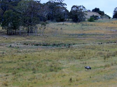 2301 Great Western Highway, Meadow Flat