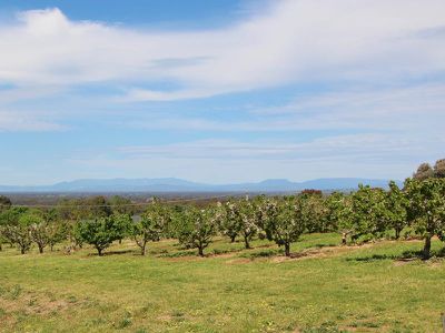 Lot 42, Orchard Drive, Glenrowan