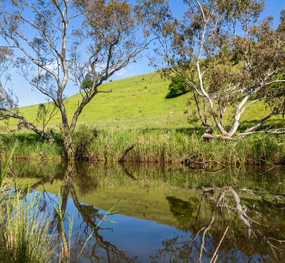 810 Broadford-Glenaroua Road, Glenaroua