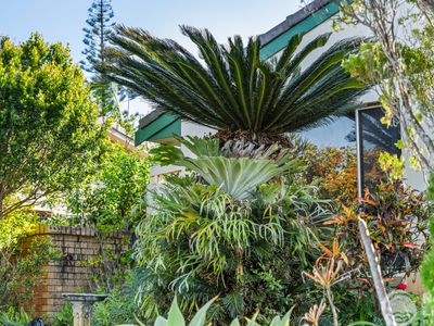 13 Cedar Crescent , East Ballina