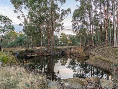 15 Travellers Drive, Travellers Rest