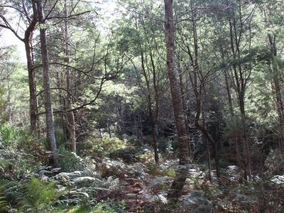Land Off Steeles Road, Nicholls Rivulet