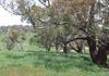 Lot 4 Reyfield Drive, Orange