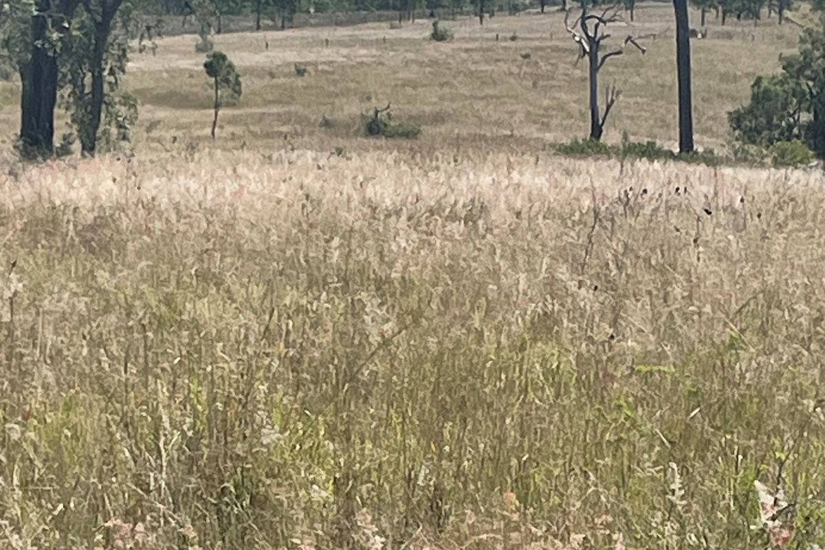 Lot Lot 13 On SP 164034, Corner Burnett Highway & Barambah Road, Moffatdale