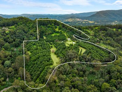 1005 TUNTABLE CREEK ROAD, Nimbin