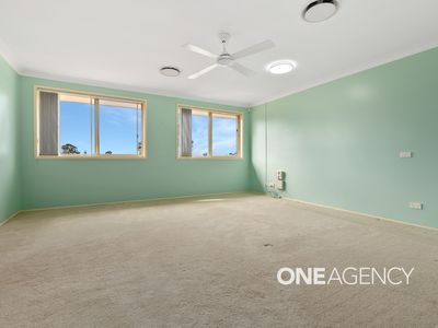29 Cornelius Place, Nowra