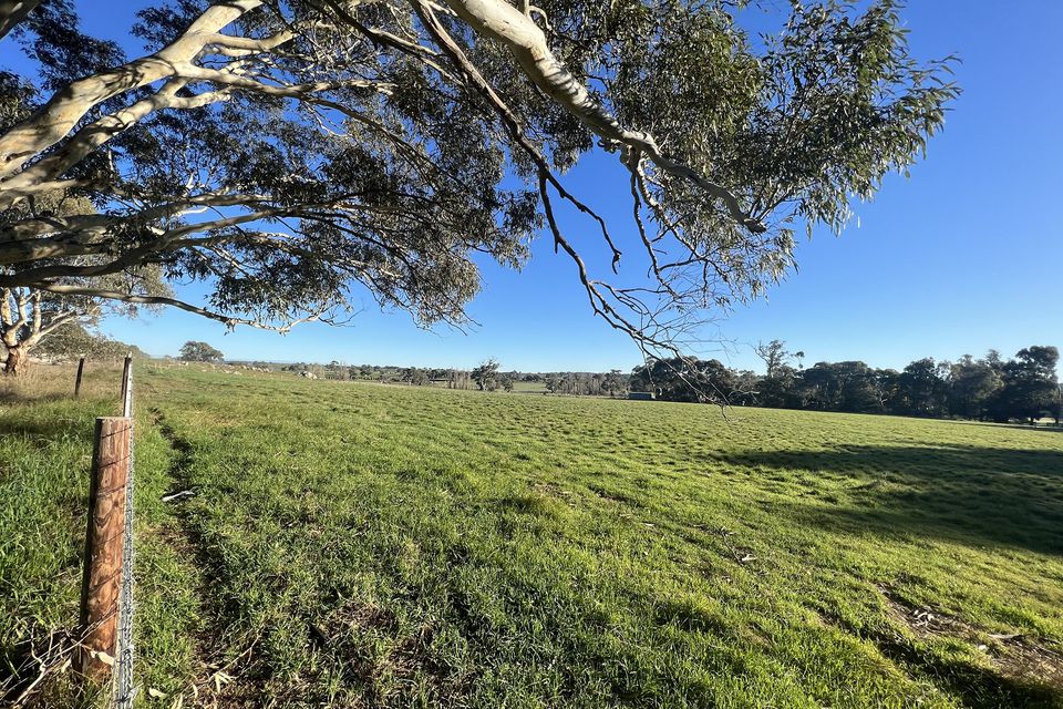 Lot 187, Vigars Road, Eden Valley