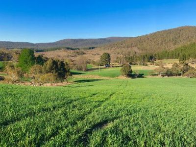 4782 Jerangle Road, Captains Flat