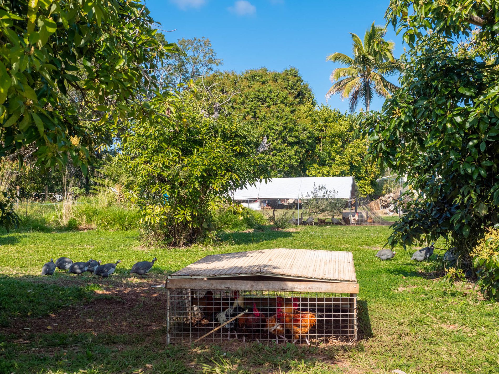 61-67 Kings Road, Russell Island