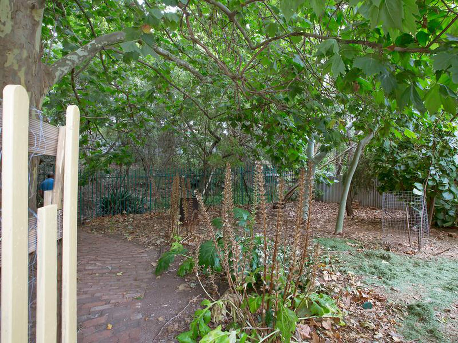 14 Klar Avenue, Darlington