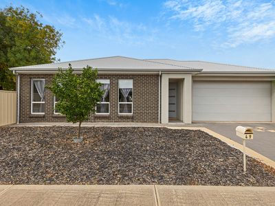 49 Cungena Avenue, Park Holme