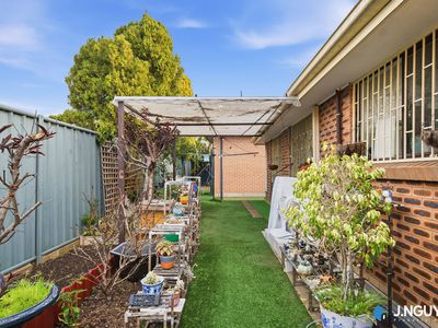 62 Mallacoota Street, Wakeley