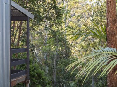 501 Mount Warning Road, Mount Warning