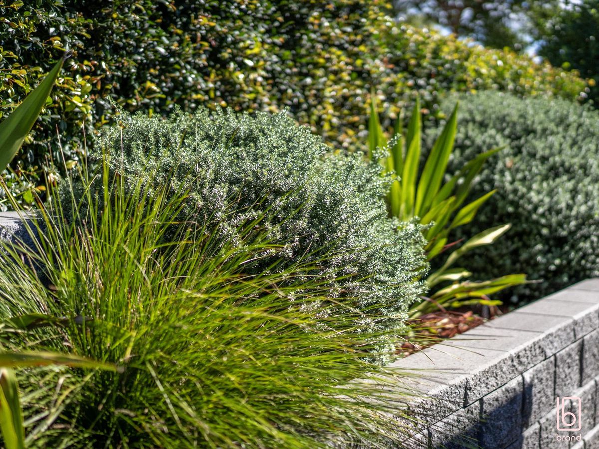 55 Mataram Road, Woongarrah