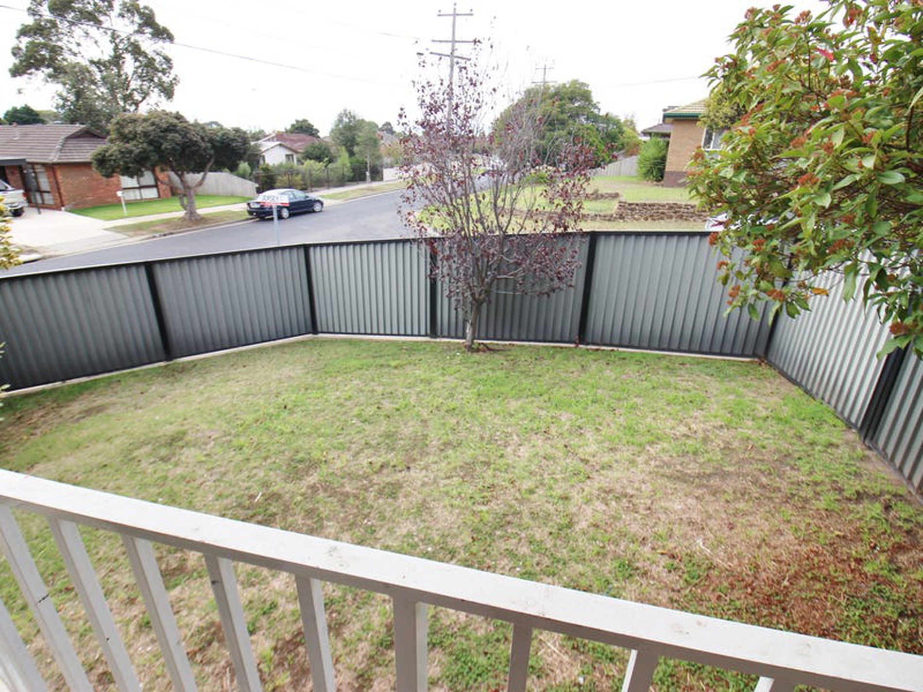 19 Walpole Avenue, Belmont