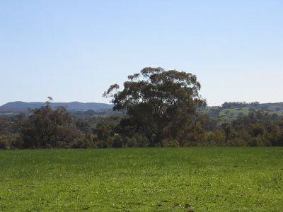 LOT 4 O'BRIENS COURT, Heathcote