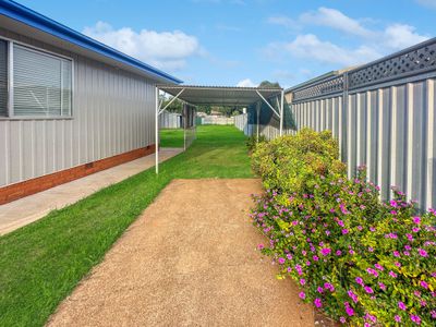 16 Wilkins Street, Dubbo