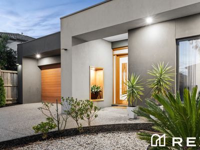 9 Springleaf Avenue, Clyde North