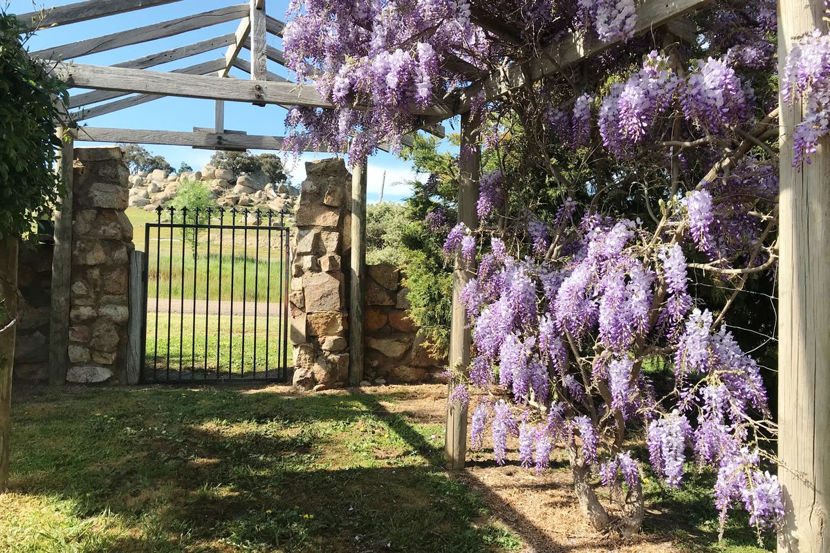 1125 Tarcombe Road, Avenel