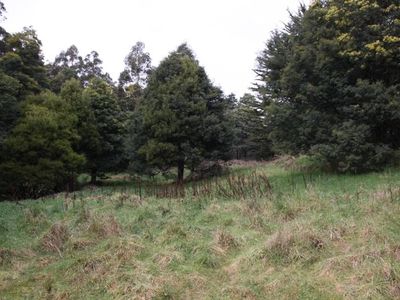 Lot 5 Cairns Road, Surges Bay