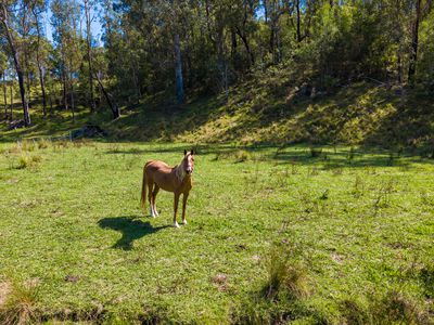 18 Waincourt Road, Eurobodalla