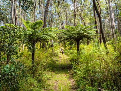 Kingfisher Road , Wyndham