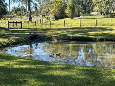 28 Keliher Road, Delaneys Creek