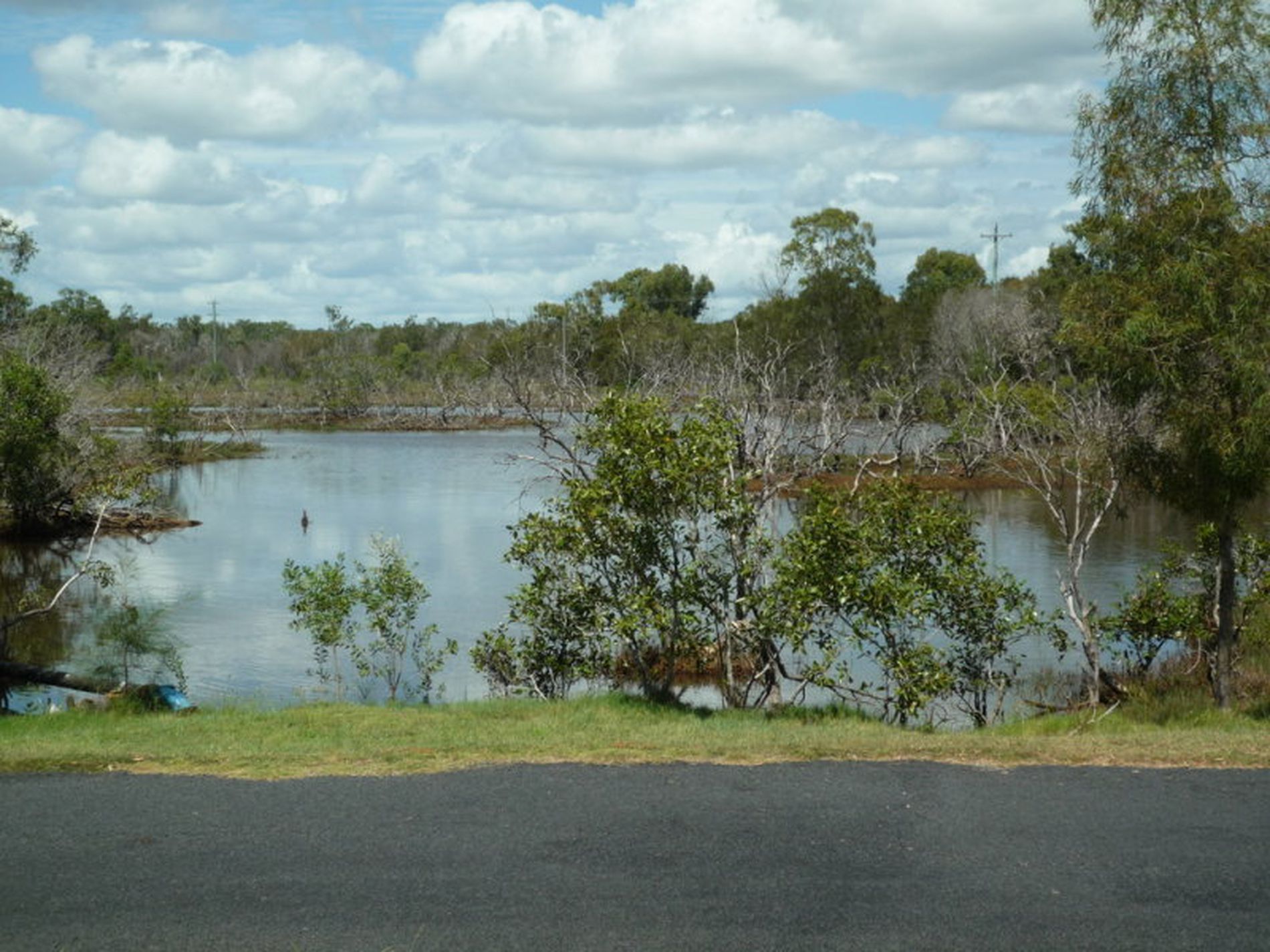 50 First Avenue, Woodgate