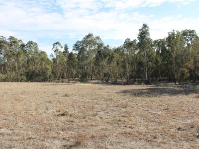 Lot 5, Davis Road, Mount Camel