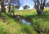 Lot 101 Strathmore Lane, Molong