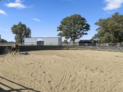 353 Lyons Road, Tarrawingee