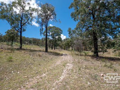 Lot 162, 2202 Wellington Vale Road, Emmaville