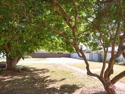 33 Curia Street, Mansfield