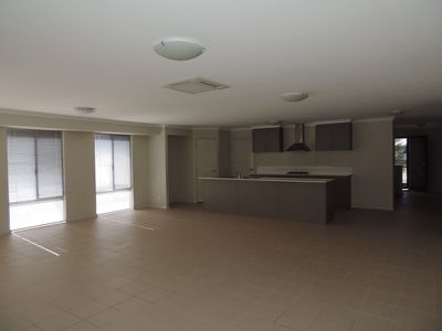 17 Peacock Avenue, Singleton
