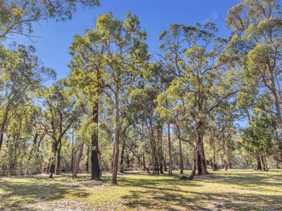 3 Sylvia Court, Mallacoota