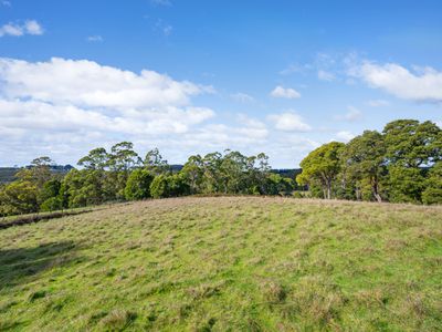 34 Elphinstones Road, Calder
