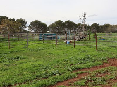 696 Back Trundle Road, Parkes