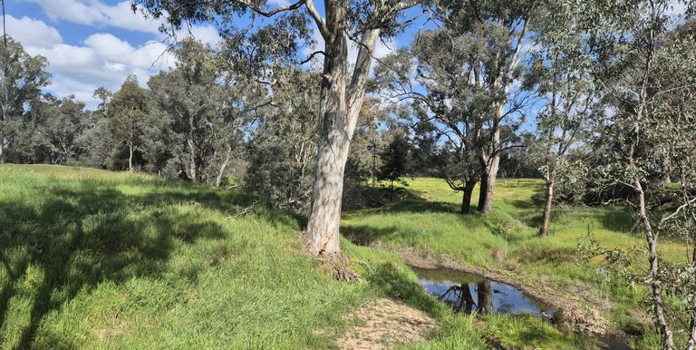 393 Mansfield Road, Euroa