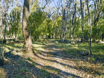 172 Johnstons Road, Barjarg