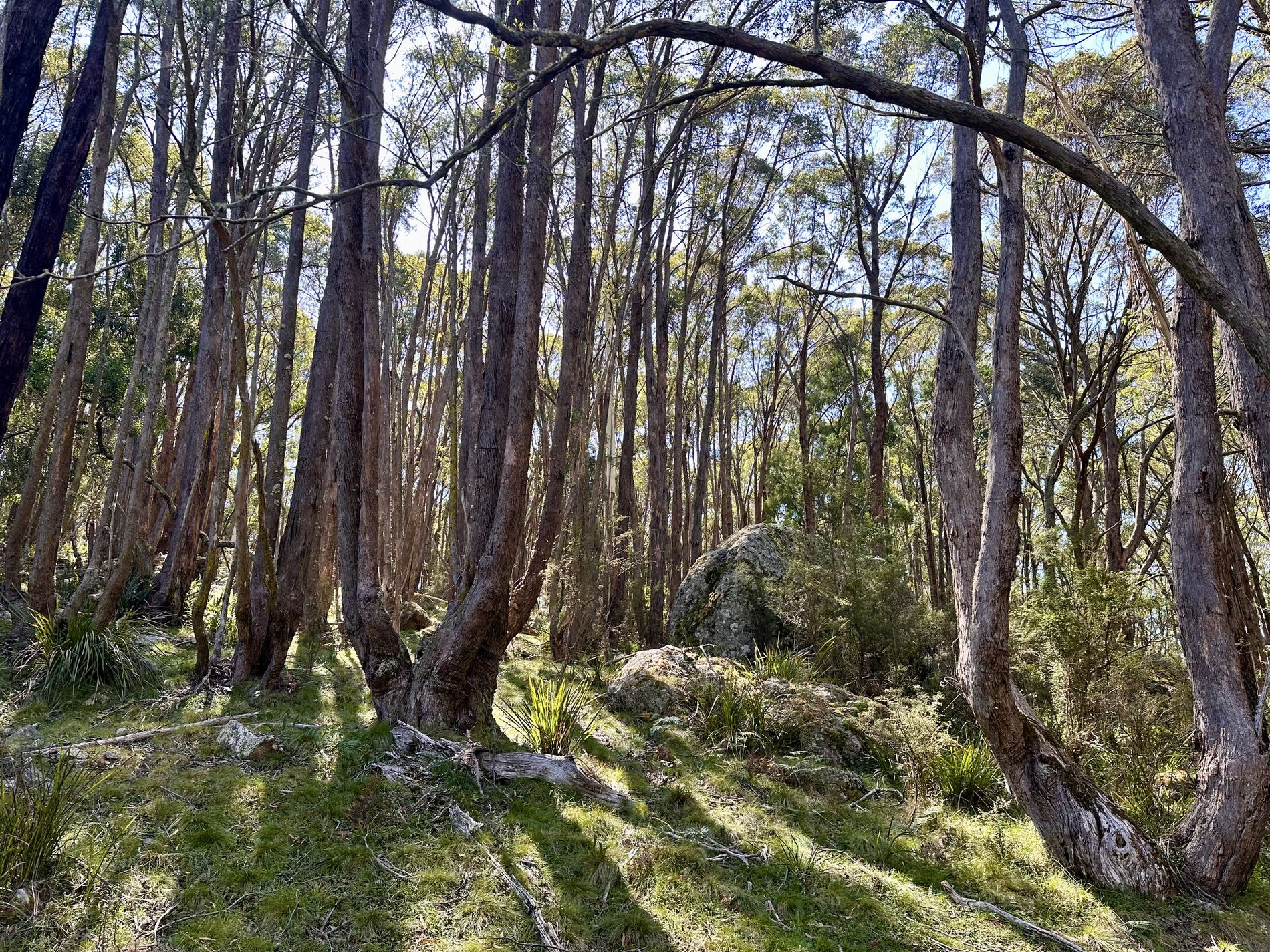 124 Gumms Road, Harolds Cross